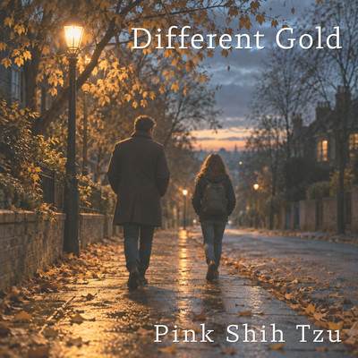 Different Gold Front Cover