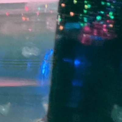 くらげが溶けていくのジャケット写真