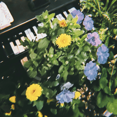 parallel Front Cover