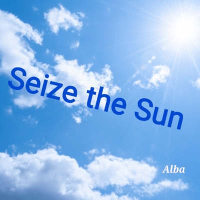 Seize the Sun Front Cover