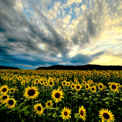 Beautiful Memories (Demo ver) Front Cover