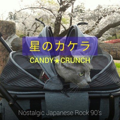 星のカケラのジャケット写真