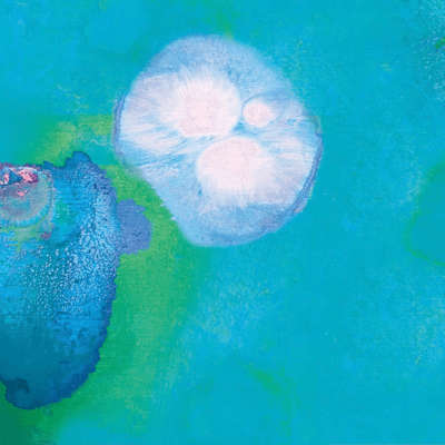 祈りのジャケット写真