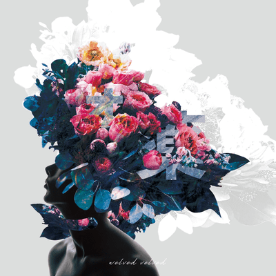 ォ薬のジャケット写真