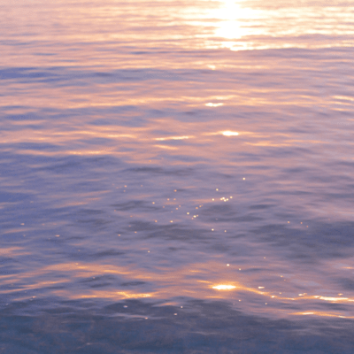 sea Front Cover