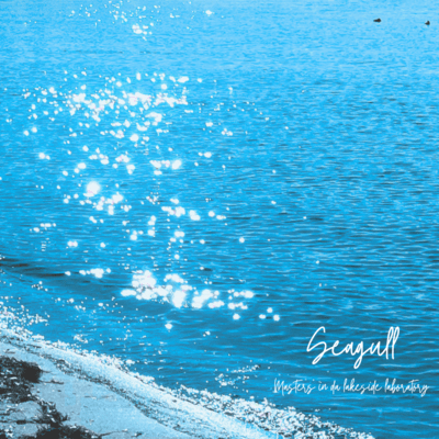 Seagull Front Cover