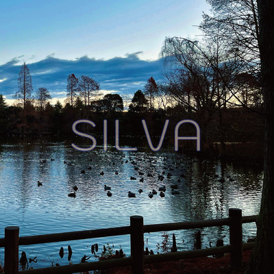 SILVA Front Cover