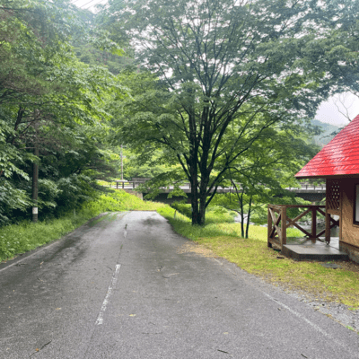 Window Seat Dreams (Lo-Fi)のジャケット写真