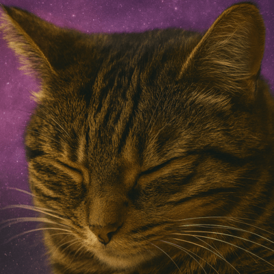 Probabilityのジャケット写真