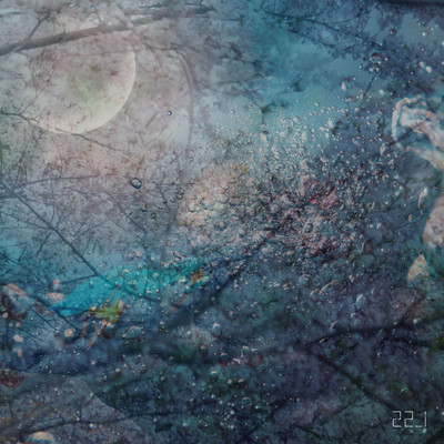 22_1のジャケット写真