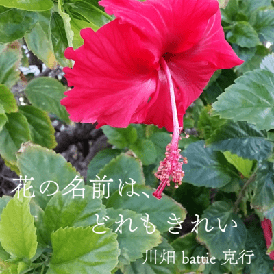 Flowers Names, Beautiful Names Front Cover