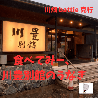 Come On, Try the Eel at Kawatoya Annex Front Cover