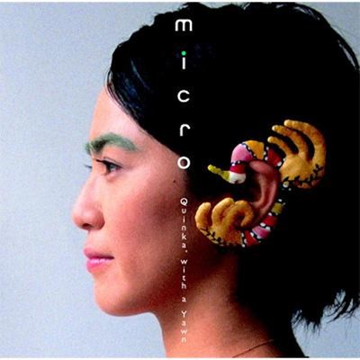 micro Front Cover