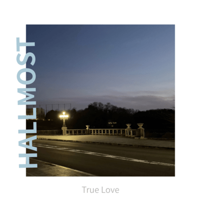 True Loveのジャケット写真