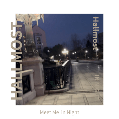 Meet Me in Night Front Cover