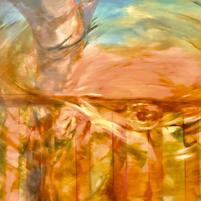 咲いた日のジャケット写真