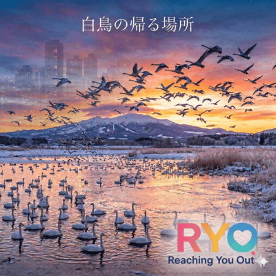 白鳥の帰る場所のジャケット写真