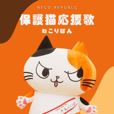 保護猫応援歌のジャケット写真