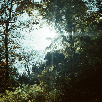 Towards the light Front Cover