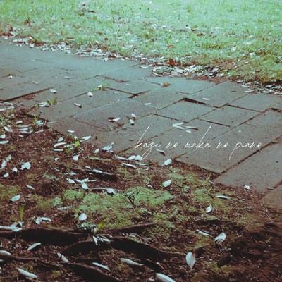 Piano in the wind Front Cover