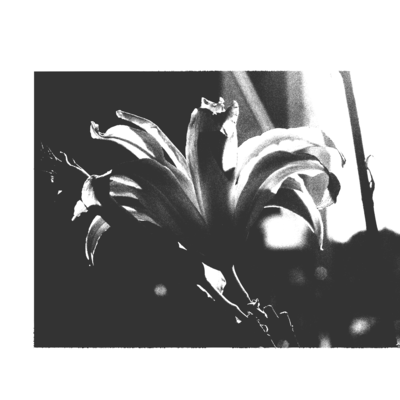 Lost and Found Front Cover