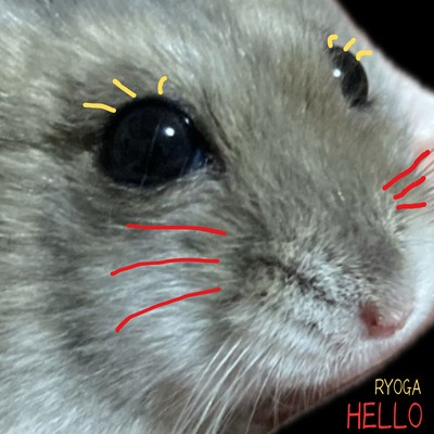 HELLOのジャケット写真