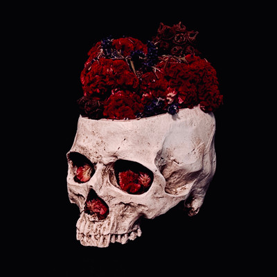 脳のエラーだ!のジャケット写真