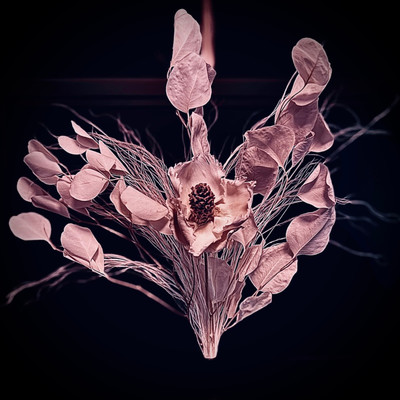 To Hate Tomorrow, Together Front Cover