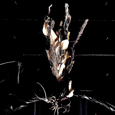 Boku wa Boku o Misuteta Front Cover