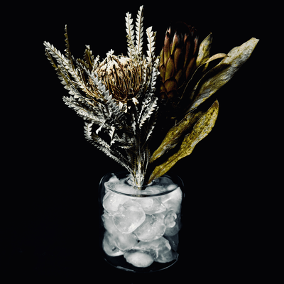 僕はここに居られないよのジャケット写真