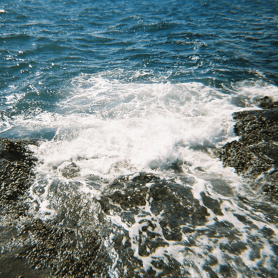 A.D.I.M.Lのジャケット写真