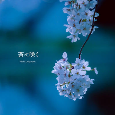 Blooming in blue Front Cover