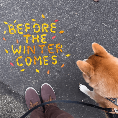 Before the Winter Comesのジャケット写真