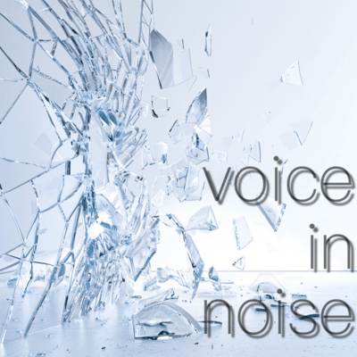 voice in noise (2024 re:Rec) Front Cover
