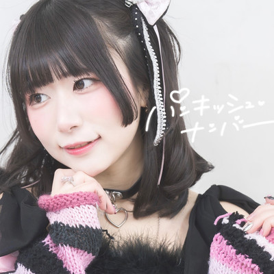 パンキッシュ・ナンバーのジャケット写真