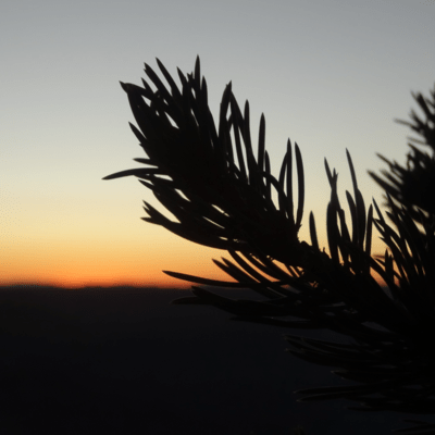 At the time of sunset Front Cover