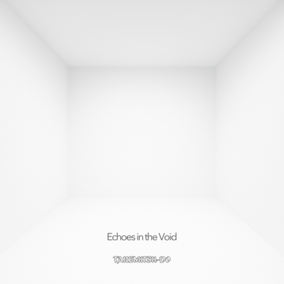 Echoes in the Void Front Cover