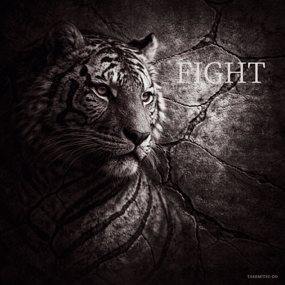 FIGHT Front Cover
