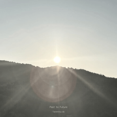 Past to Future Front Cover