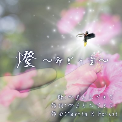 Tomoshibi-Nuchidutakara Front Cover