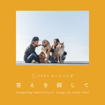 答えを探してのジャケット写真