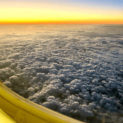 エレガントリズムのジャケット写真