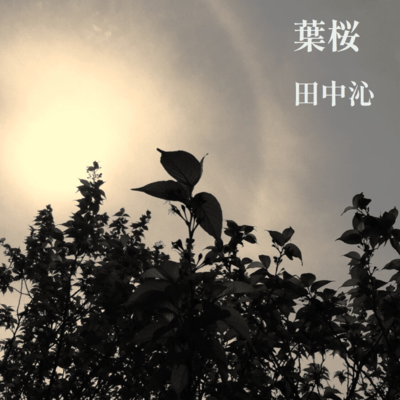 葉桜のジャケット写真