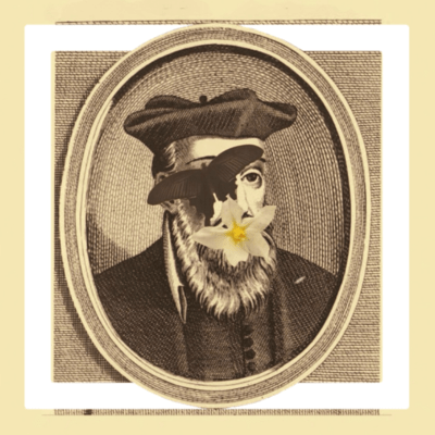 damn it ! Front Cover