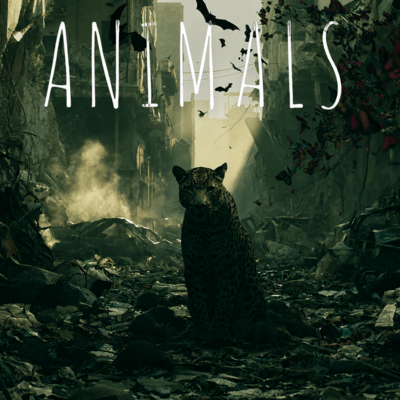 ANIMALS Front Cover