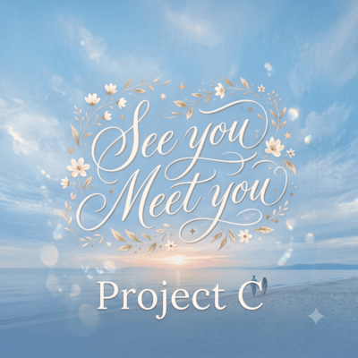 See you Meet you Front Cover