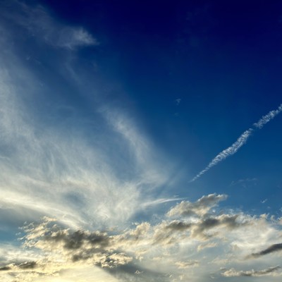 40年、ぼくのきもちのジャケット写真