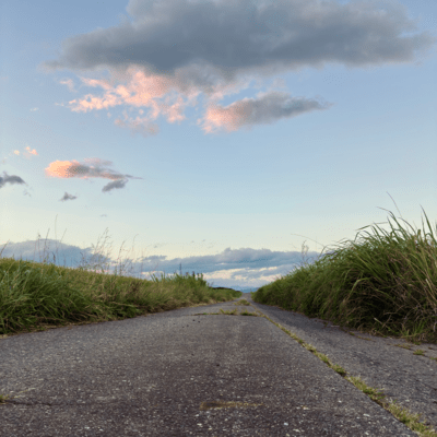 散歩道 (2026)のジャケット写真