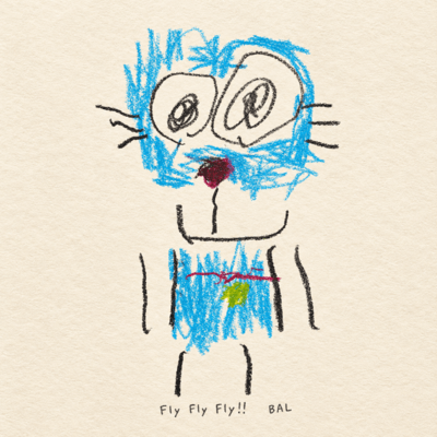 Fly Fly Fly !! Front Cover