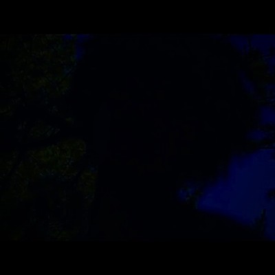 nightsurfed Front Cover